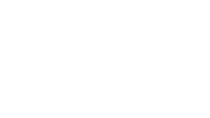 iptv ic24